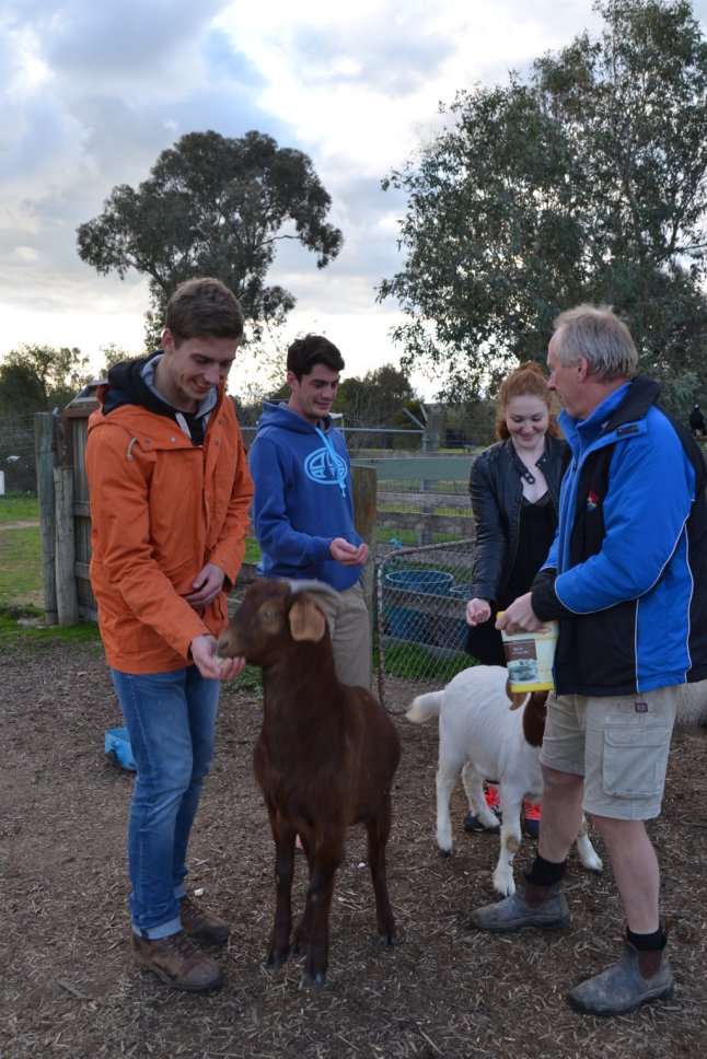 DSC_0068 (FILEminimizer)