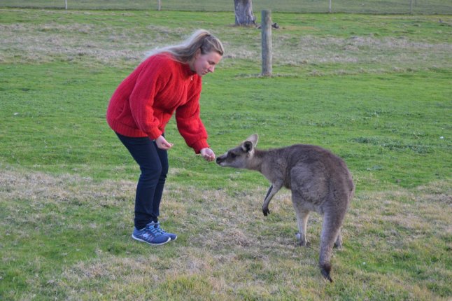 DSC_0091 (FILEminimizer)