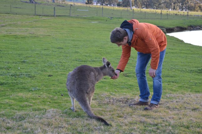 DSC_0100 (FILEminimizer)