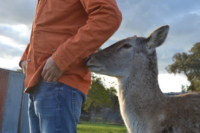 DSC_0121 (FILEminimizer)