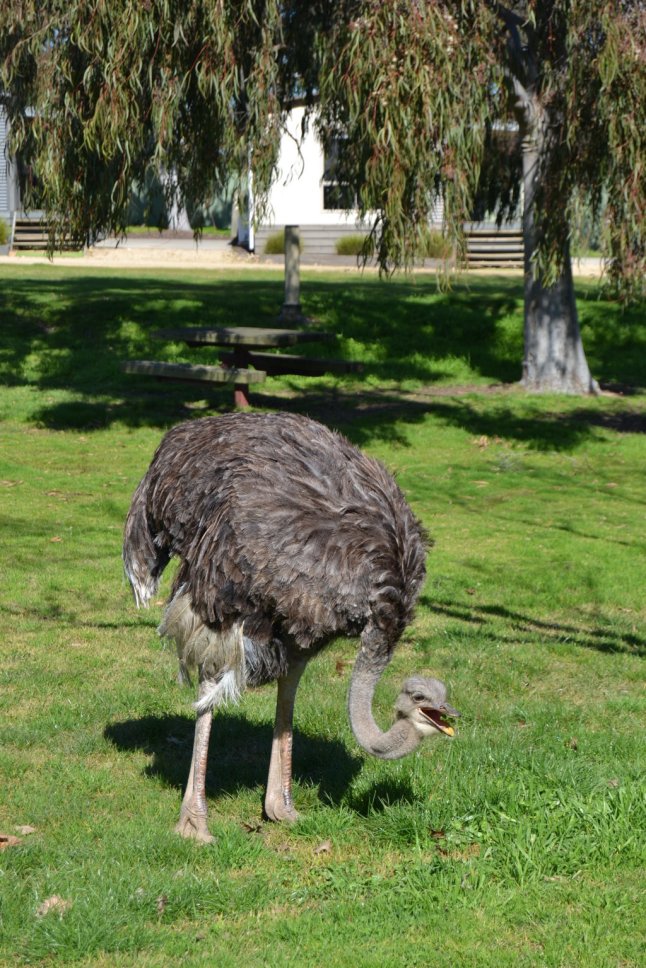 DSC_0154 (FILEminimizer)