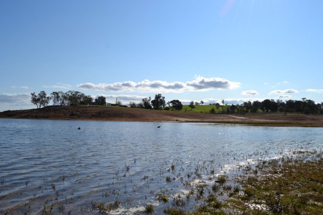 DSC_0262 (FILEminimizer)