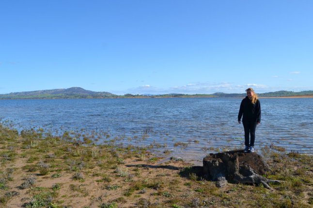 DSC_0273 (FILEminimizer)