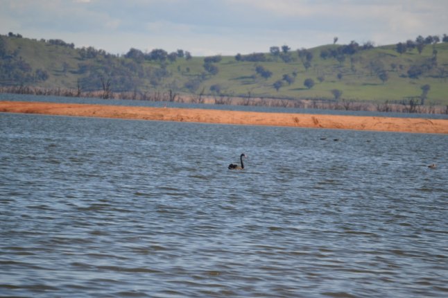 DSC_0277 (FILEminimizer)