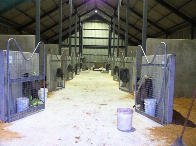 IMG_0129 (FILEminimizer)