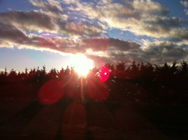 IMG_0132 (FILEminimizer)