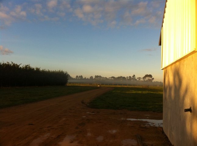 IMG_0133 (FILEminimizer)