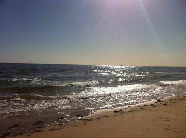 IMG_0151 (FILEminimizer)