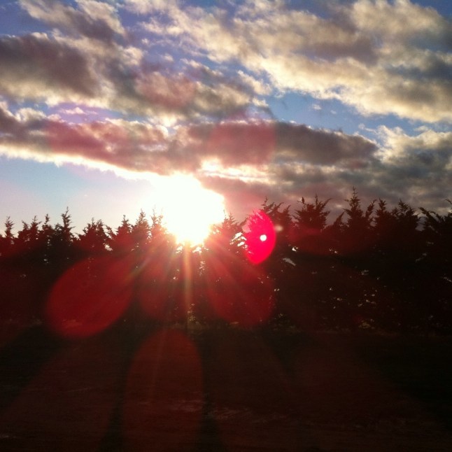 IMG_0174 (FILEminimizer)