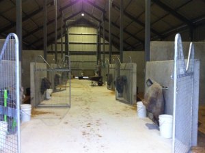 IMG_0193 (FILEminimizer)