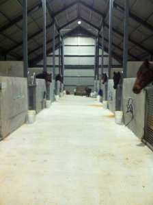 IMG_0211 (FILEminimizer)