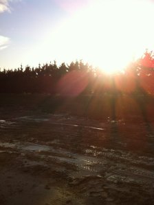 IMG_0223 (FILEminimizer)