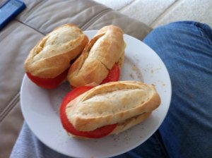 IMG_0224 (FILEminimizer)