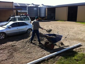 IMG_0228 (FILEminimizer)