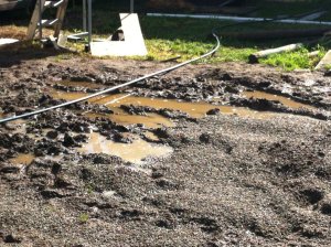 IMG_0231 (FILEminimizer)