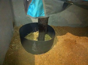 IMG_0234 (FILEminimizer)