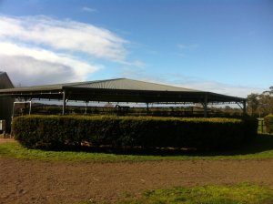 IMG_0267 (FILEminimizer)