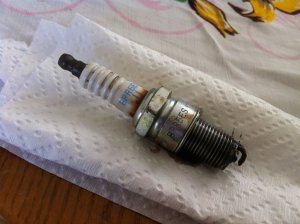 IMG_0277 (FILEminimizer)