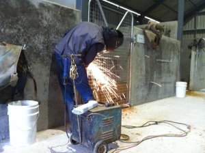 IMG_0305 (FILEminimizer)