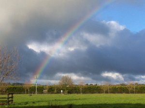 IMG_0317 (FILEminimizer)