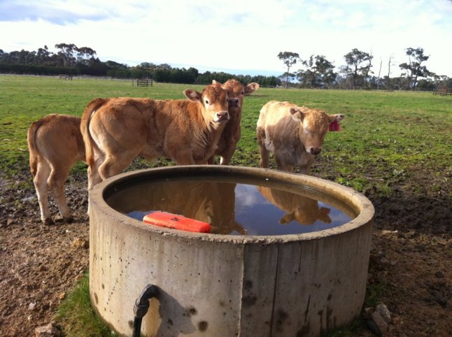 IMG_0366 (FILEminimizer)