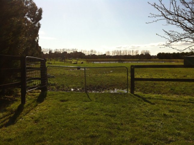 IMG_0370 (FILEminimizer)