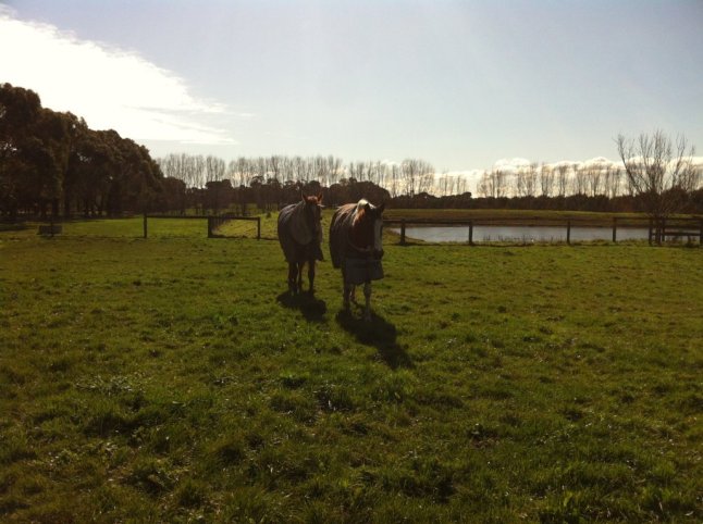 IMG_0379 (FILEminimizer)