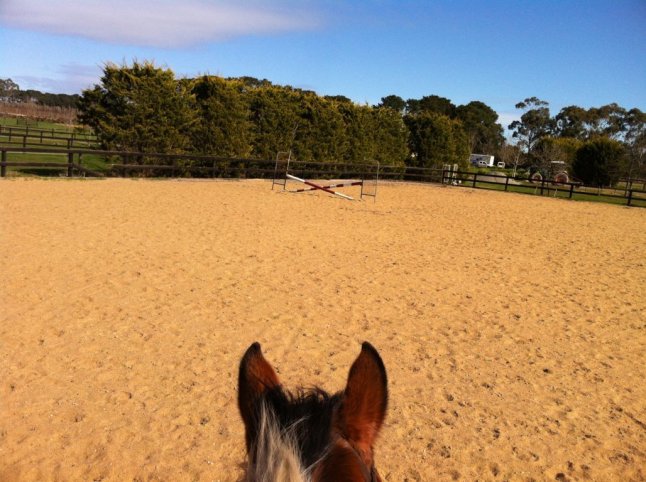 IMG_0390 (FILEminimizer)