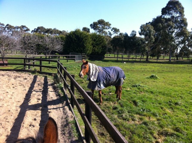 IMG_0395 (FILEminimizer)