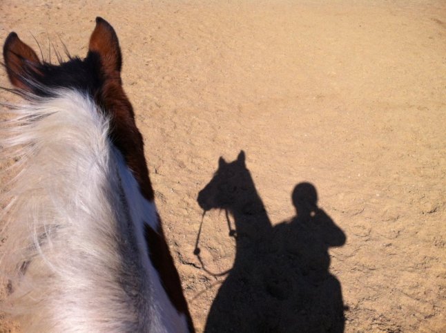 IMG_0398 (FILEminimizer)