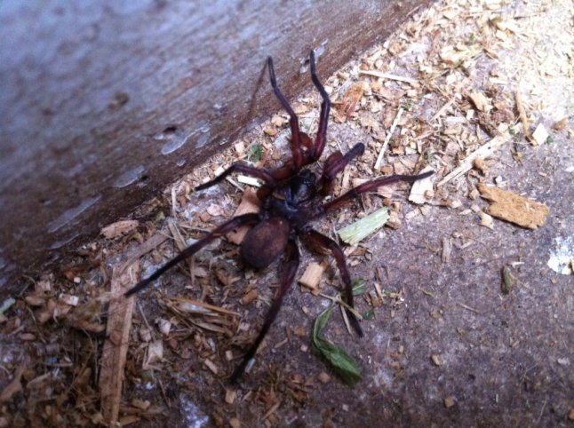 IMG_0462 (FILEminimizer)