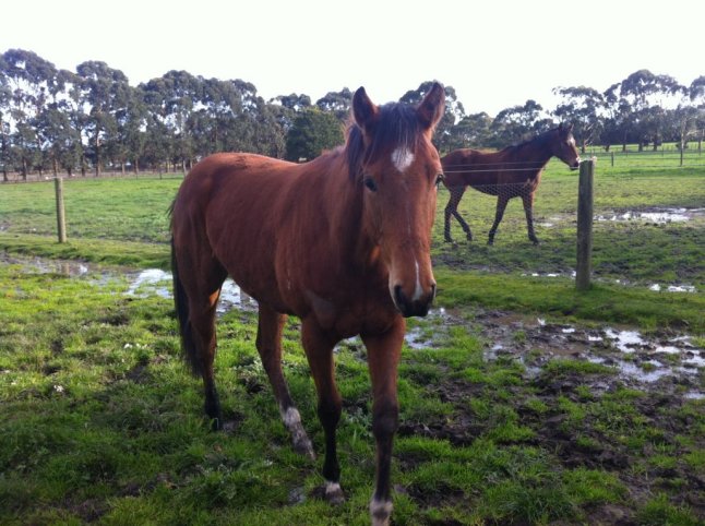 IMG_0487 (FILEminimizer)