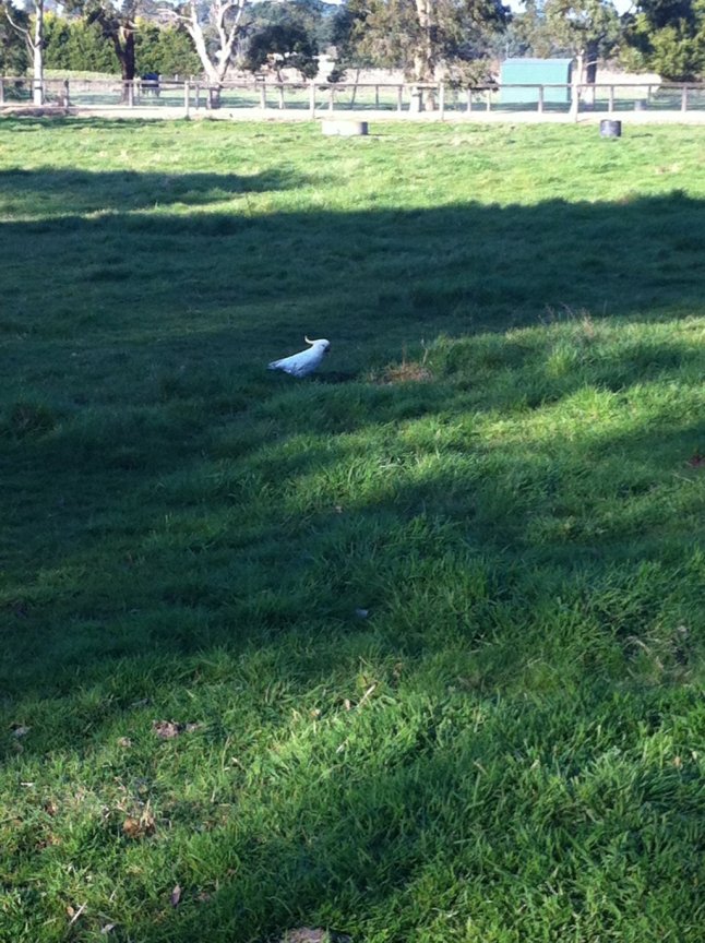 IMG_0497 (FILEminimizer)