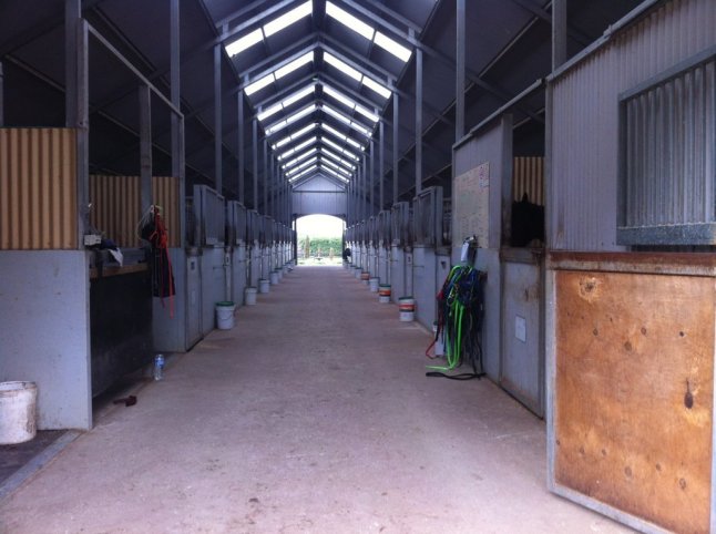 IMG_0543 (FILEminimizer)