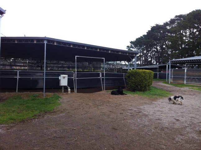 IMG_0546 (FILEminimizer)