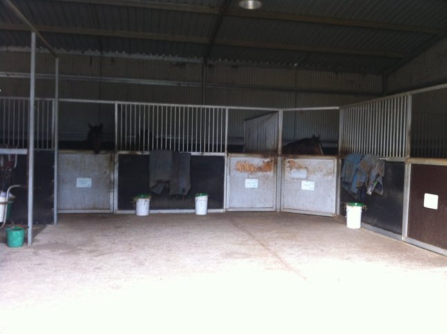 IMG_0547 (FILEminimizer)