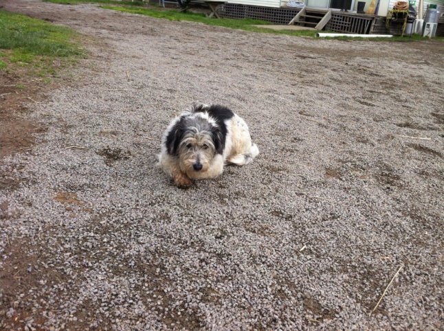 IMG_0551 (FILEminimizer)