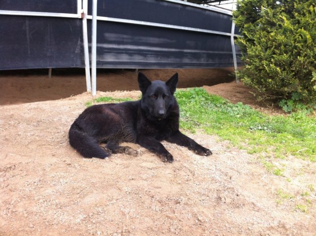 IMG_0553 (FILEminimizer)