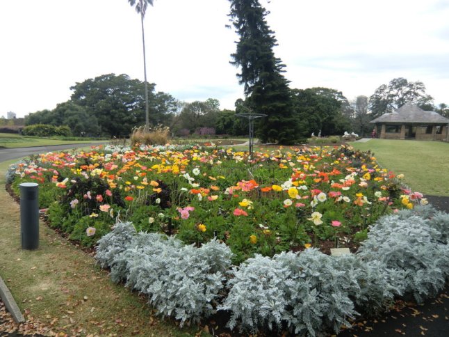 CIMG8252 (FILEminimizer)