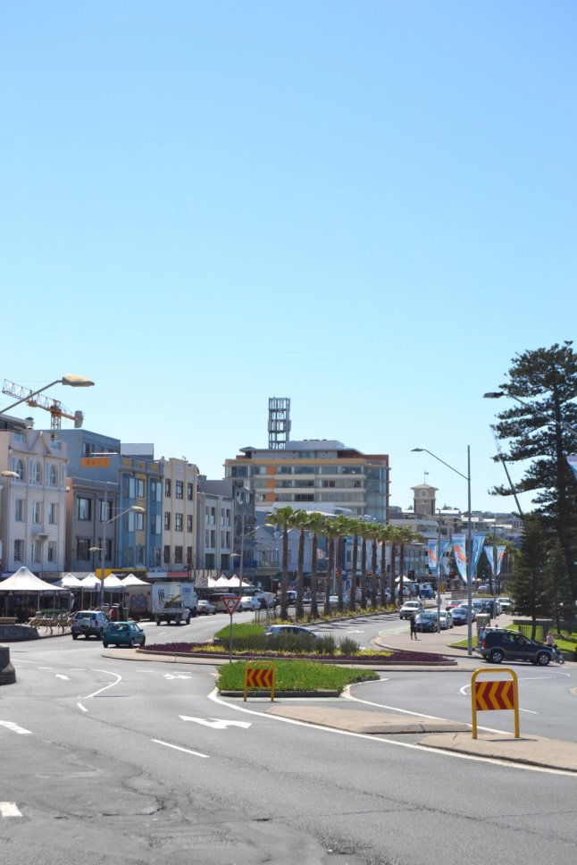 DSC_0001 (FILEminimizer)