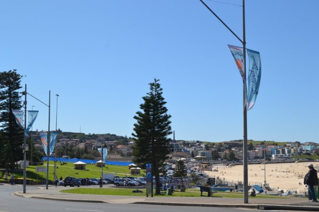 DSC_0002 (FILEminimizer)