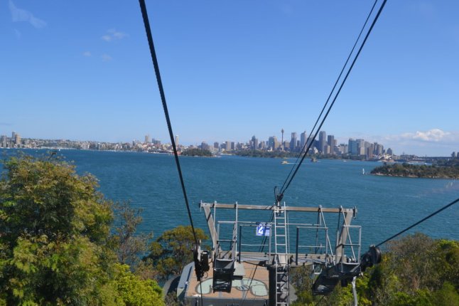 DSC_0009 (FILEminimizer)