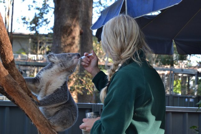 DSC_0012 (FILEminimizer)