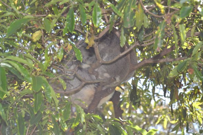 DSC_0013 (FILEminimizer)