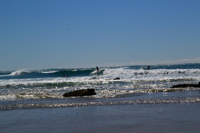 DSC_0015 (FILEminimizer)