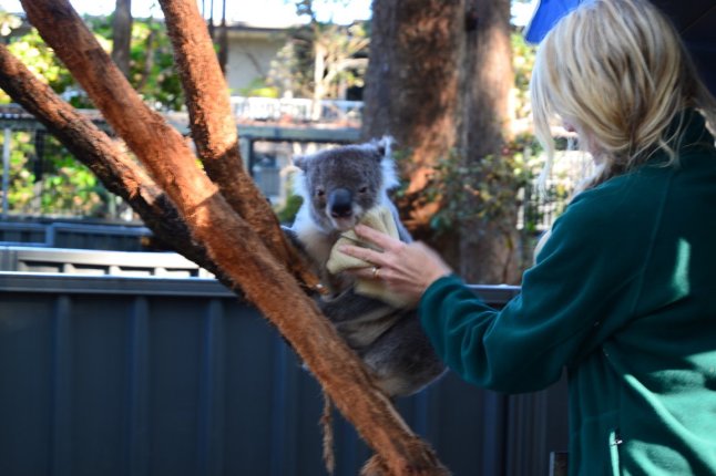 DSC_0021 (FILEminimizer)