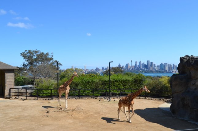 DSC_0021 (FILEminimizer)