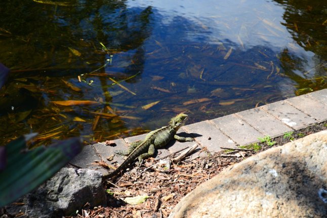 DSC_0022 (FILEminimizer)