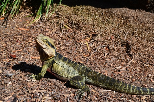 DSC_0026 (FILEminimizer)