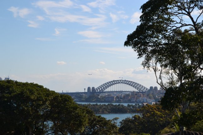 DSC_0026 (FILEminimizer)